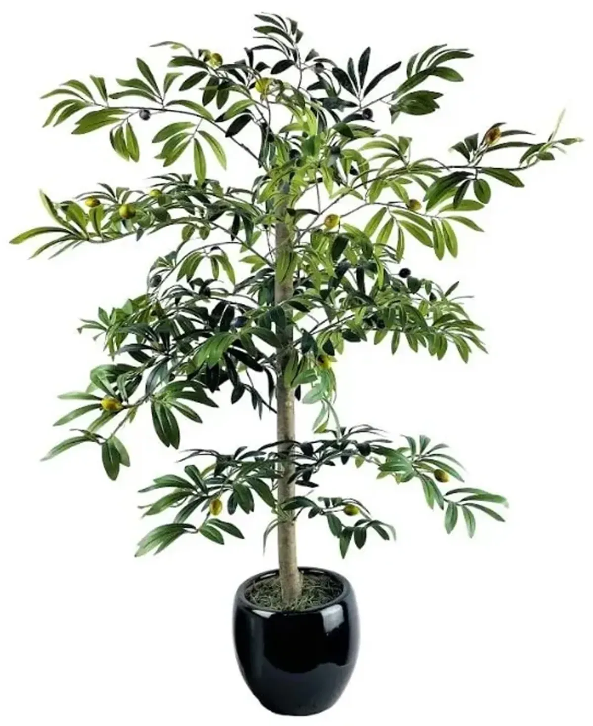 Olive Tree In Black Ceramic Pot 4'H