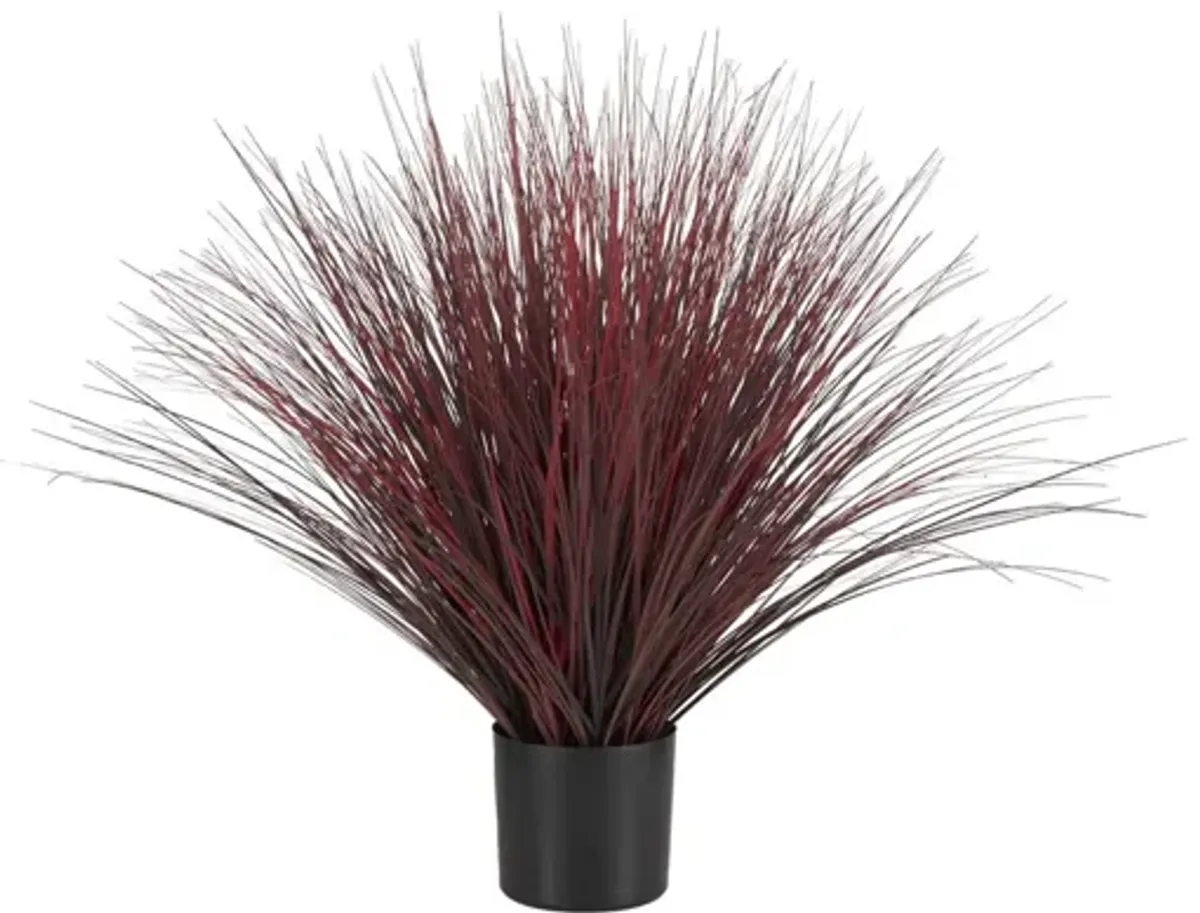 Faux Red Grass In Black Pot 44"W x 36"H