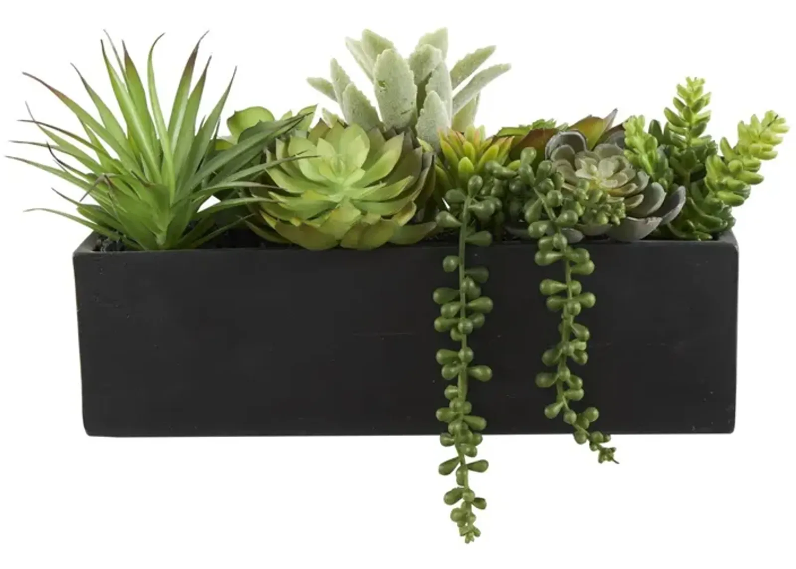 Faux Succulents In Black Box 14"W x 8"H