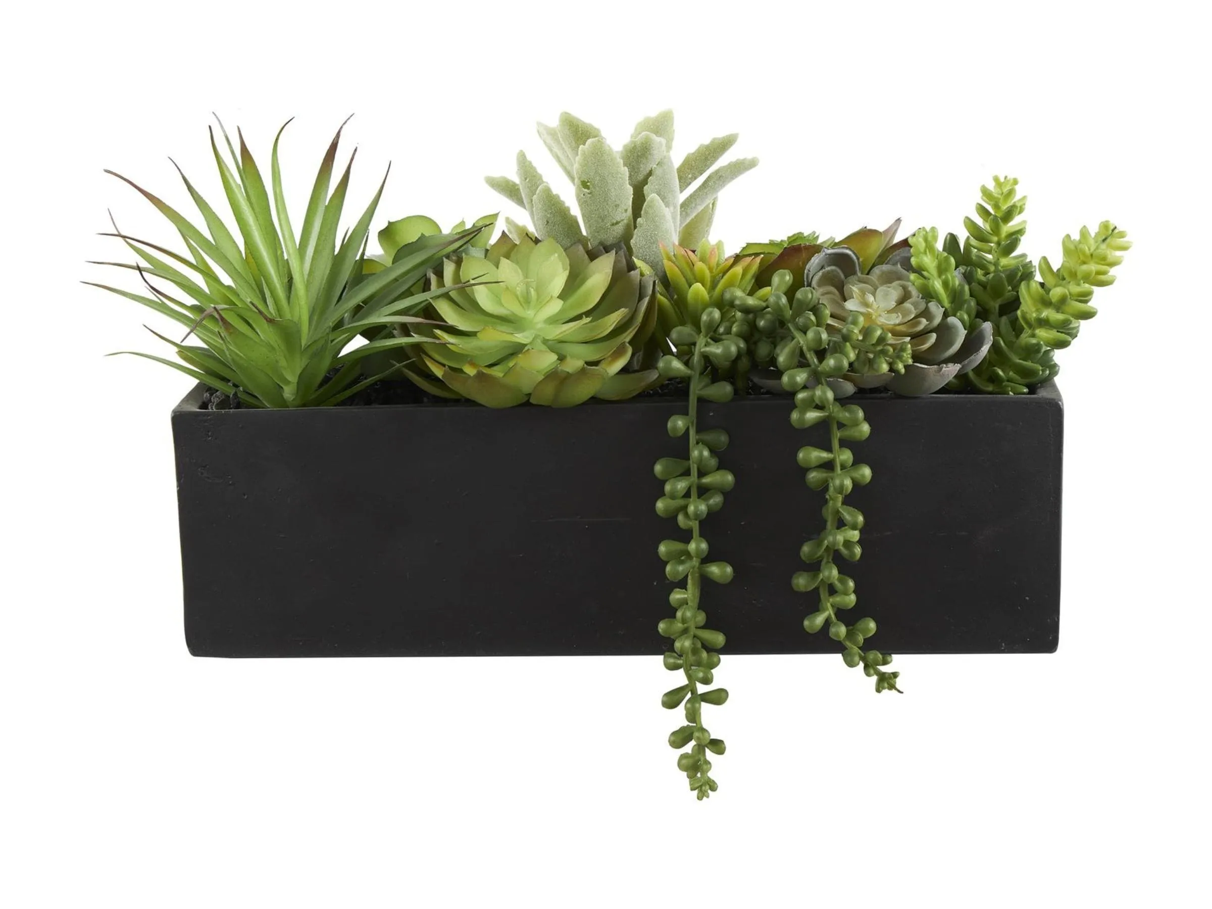 Faux Succulents In Black Box 14"W x 8"H