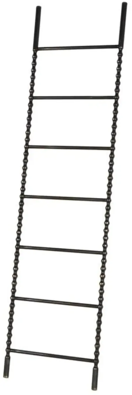 Black Metal Ladder 18"W x 70"H