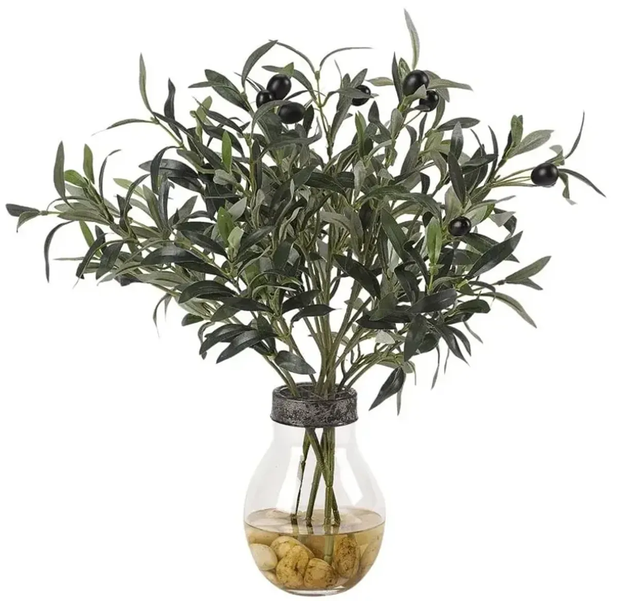 Olive Waterlook Greenery In Glass Vase 16"W x 18"H