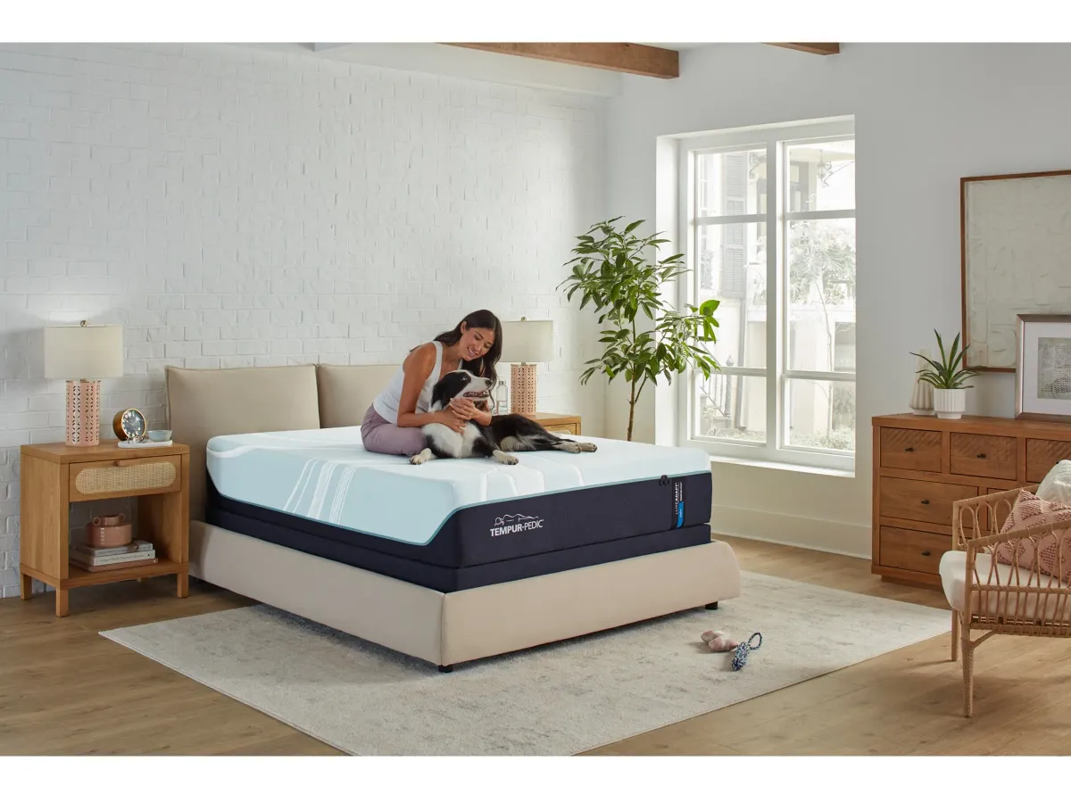 TEMPUR Luxe Adapt 2.0 Soft Queen Mattress