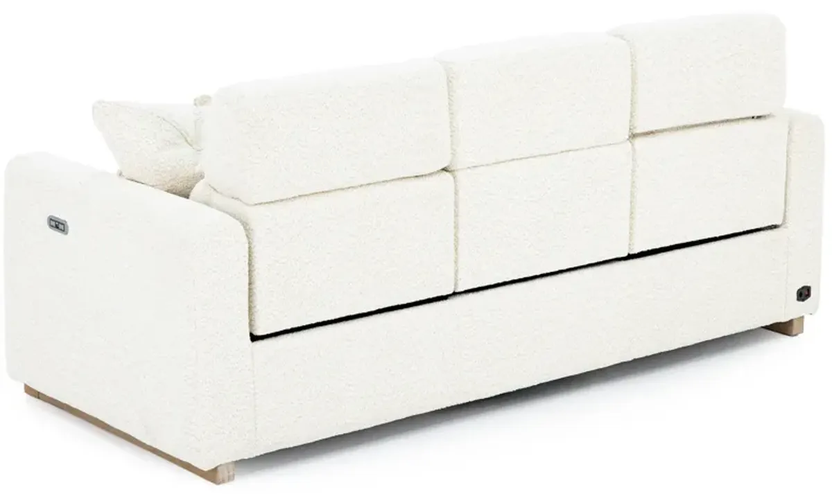 Hogan Power Headrest Reclining Sofa
