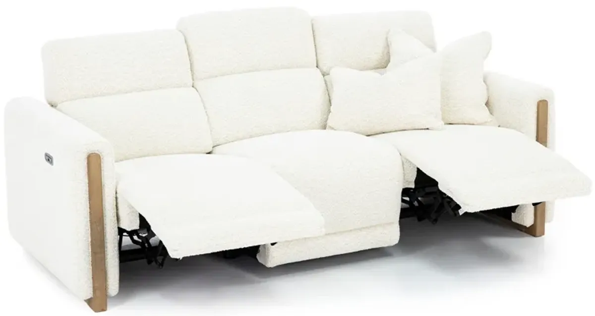 Hogan Power Headrest Reclining Sofa