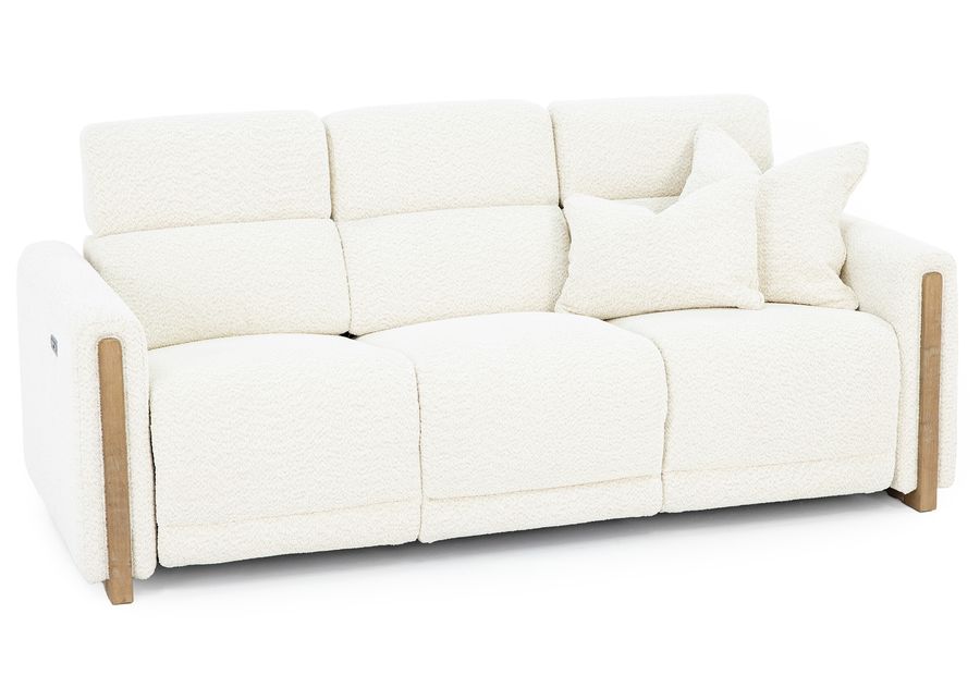 Hogan Power Headrest Reclining Sofa