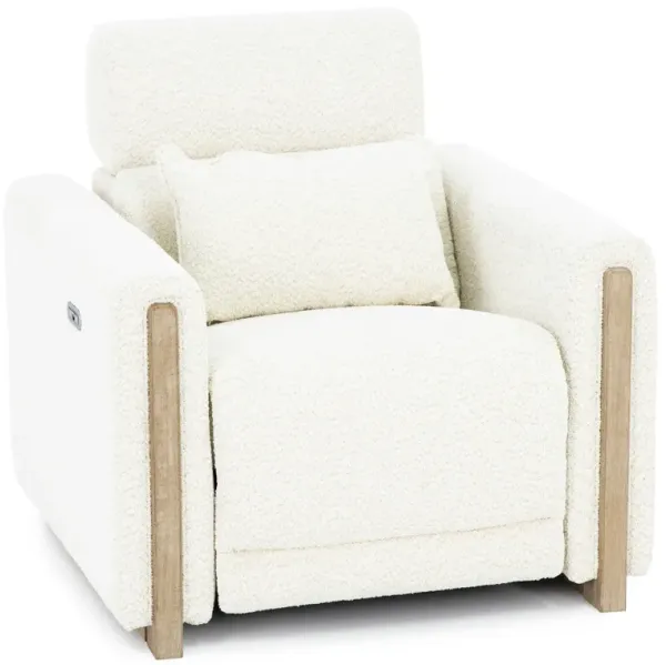 Hogan Power Headrest Recliner