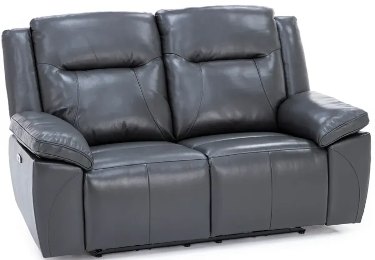 Castle Leather Power Headrest Reclining Loveseat