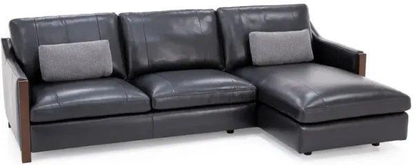Juniper 2-Pc. Leather Sofa Chaise In Sidekick Black In Right-Facing