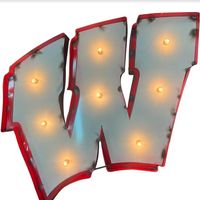 Recycled Metal Wisconsin Logo Wall Decor with Bulbs 22"W x 24"H