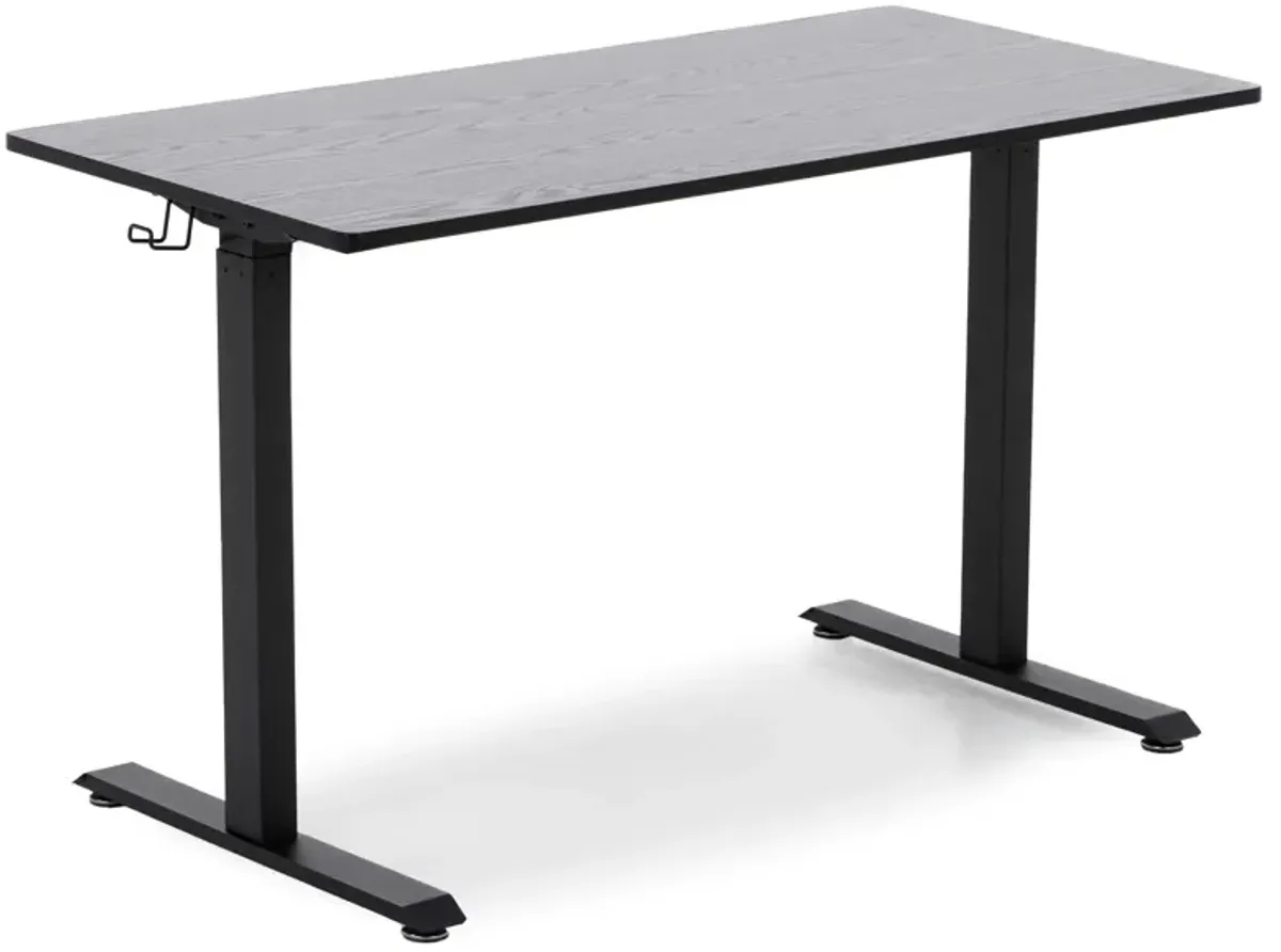 Sit & Stand Gaming Desk