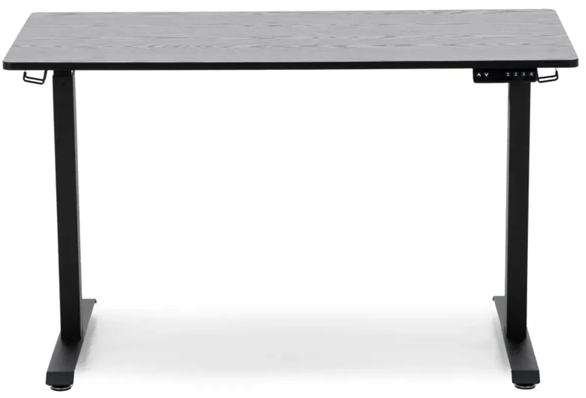 Sit & Stand Gaming Desk