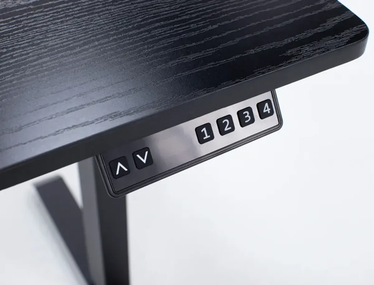 Sit & Stand Gaming Desk