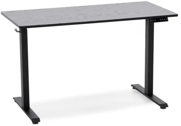 Sit & Stand Gaming Desk