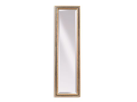 Silver and Gold Beveled Leaner Mirror 18"W x 64"H