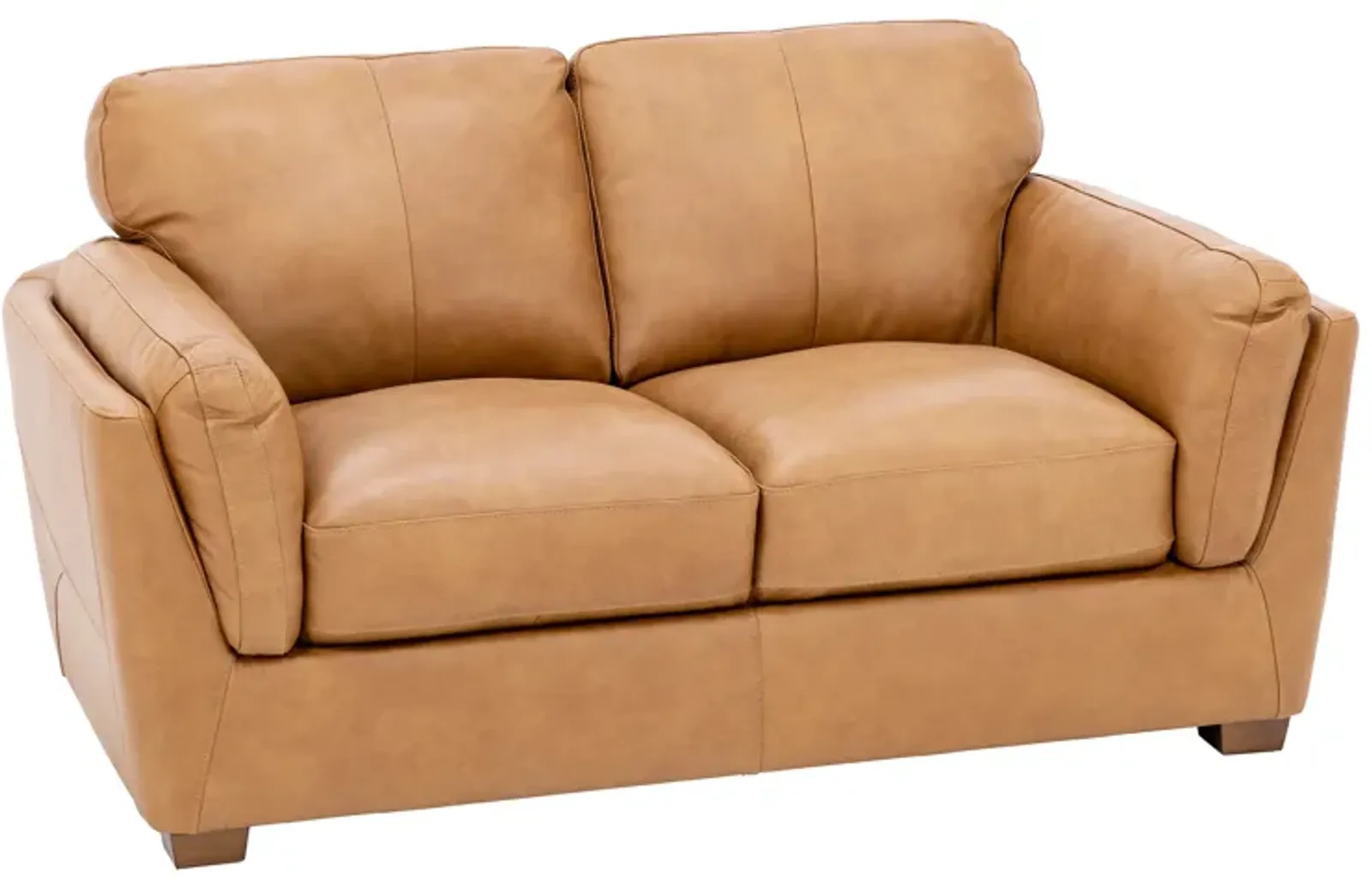 River Leather Loveseat