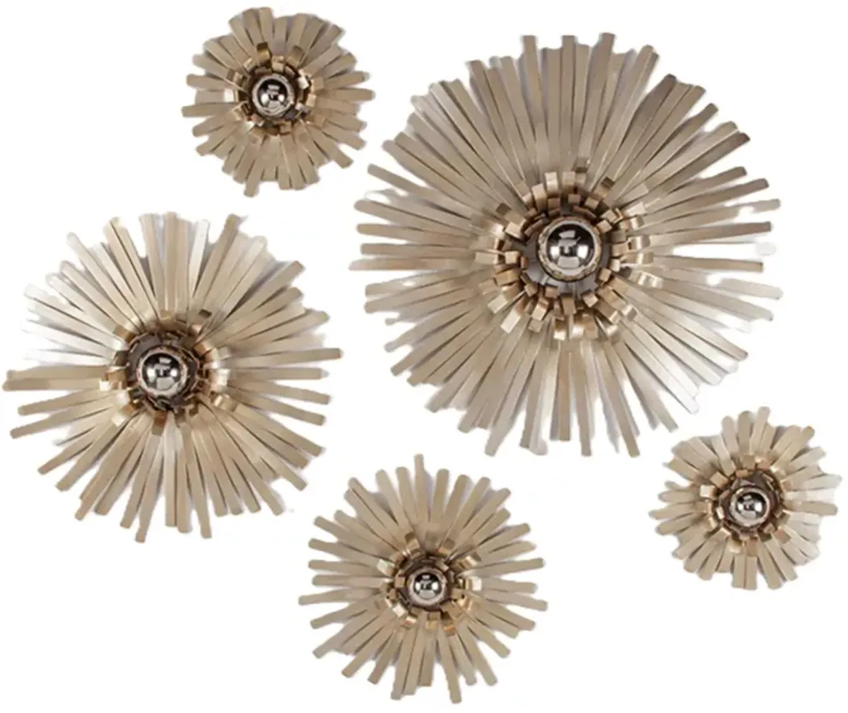 Set of 5 Champagne Metal Wall Decor 13/18/24/29" Round