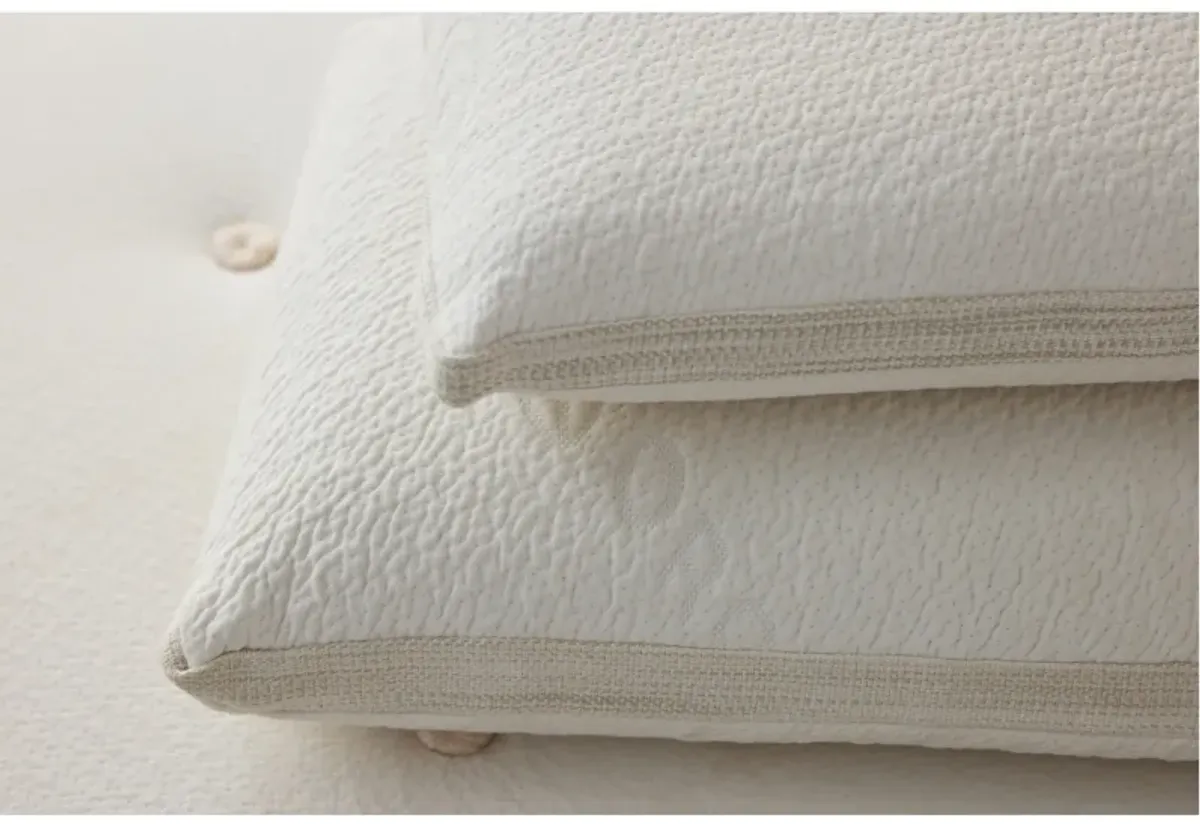 Avocado Molded Latex King Pillow