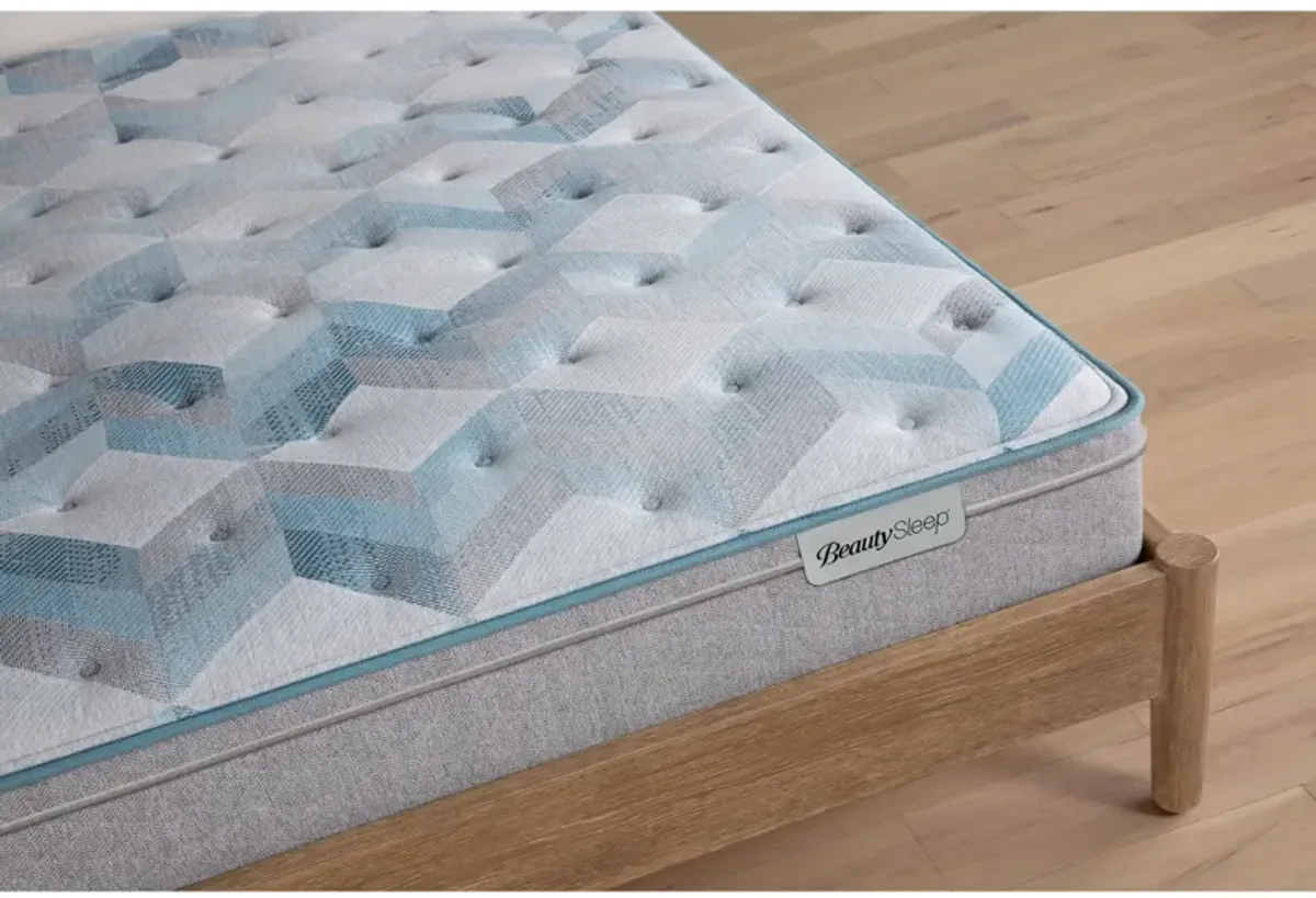 Beauty Sleep Dream Weaver Medium Eurotop Queen Mattress