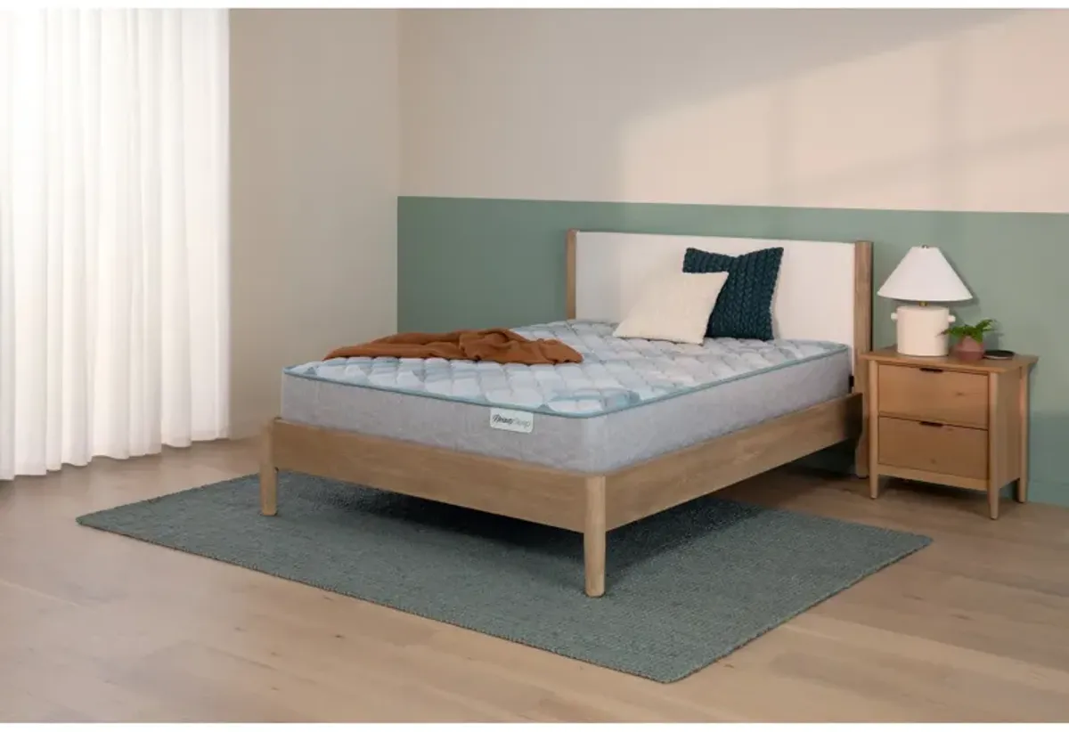 Beautysleep Dream Weaver Firm Full Mattress
