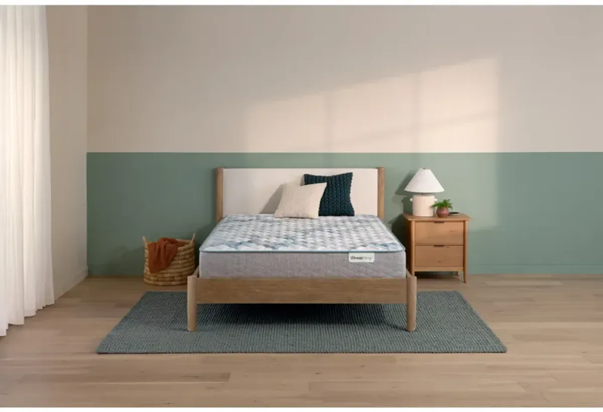 Beautysleep Dream Weaver Firm Queen Mattress