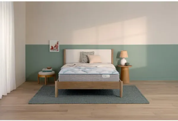 Beauty Sleep Dream Weaver Medium Eurotop Twin Mattress