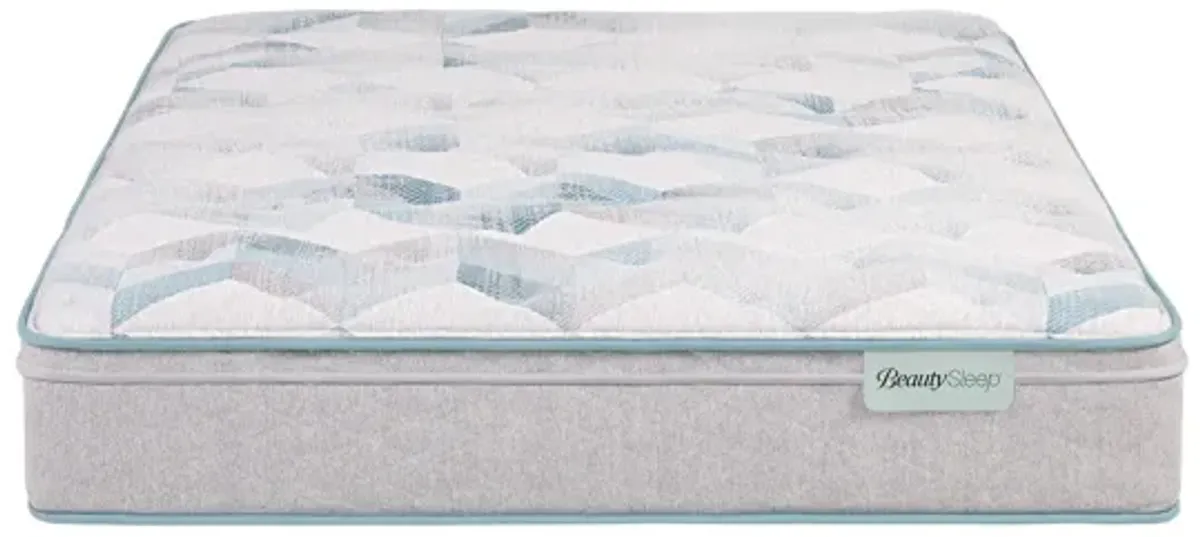 Beauty Sleep Dream Weaver Medium Eurotop Full Mattress