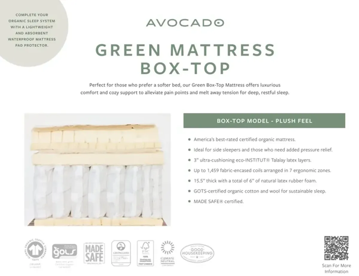 Green Box Top Plush Queen Mattress