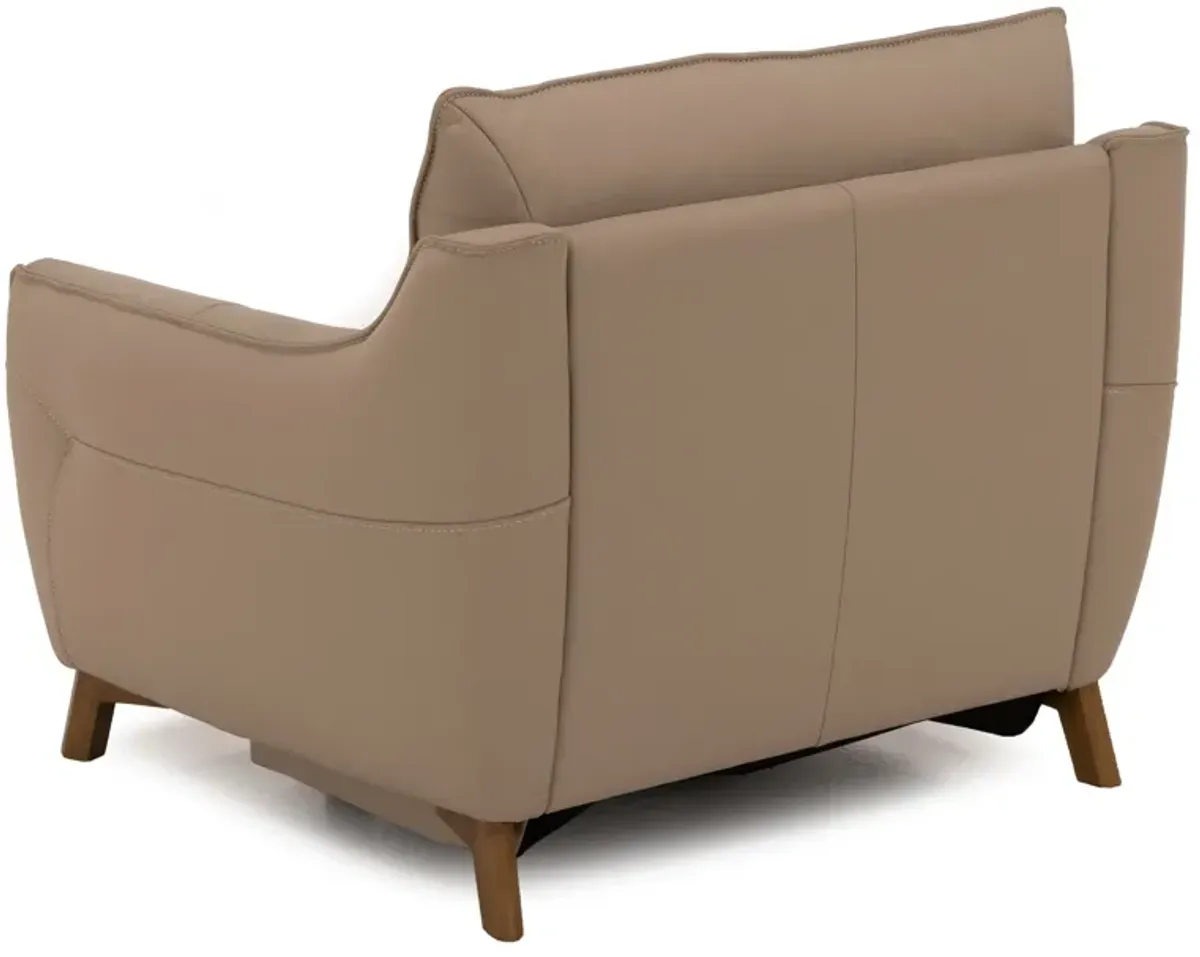 Palmetto Leather Power Recliner