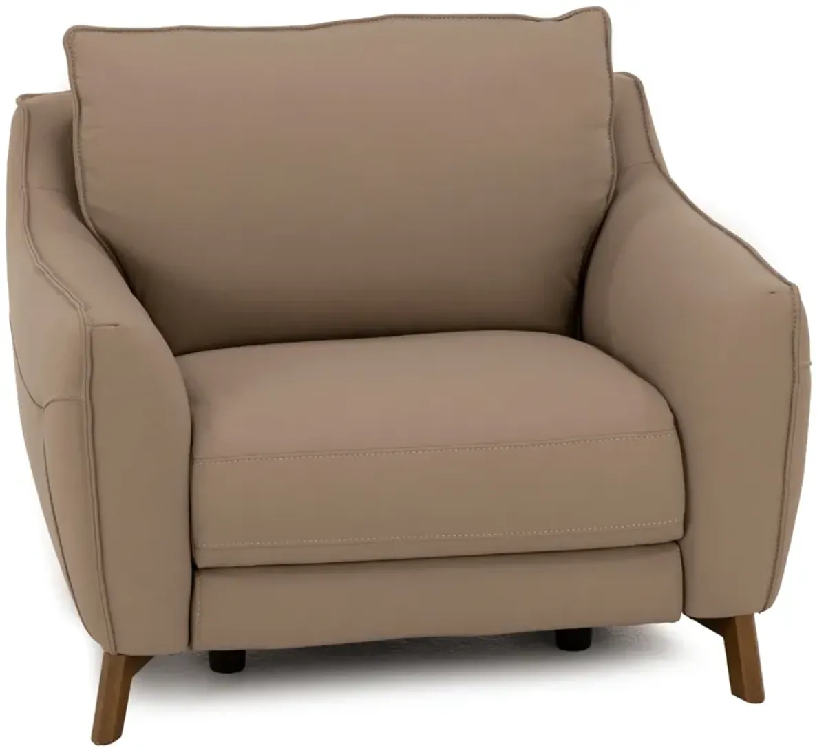 Palmetto Leather Power Recliner