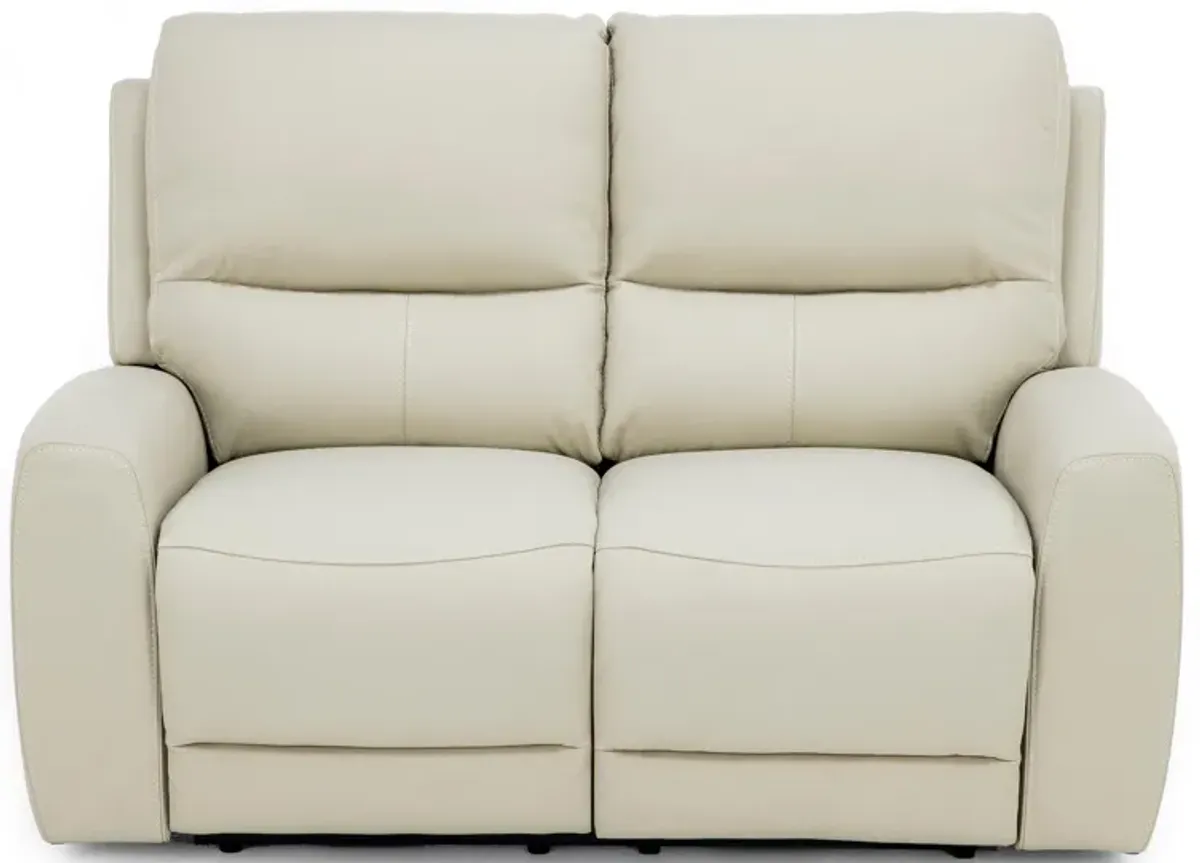 Fisher Leather Fully Loaded Reclining Loveseat