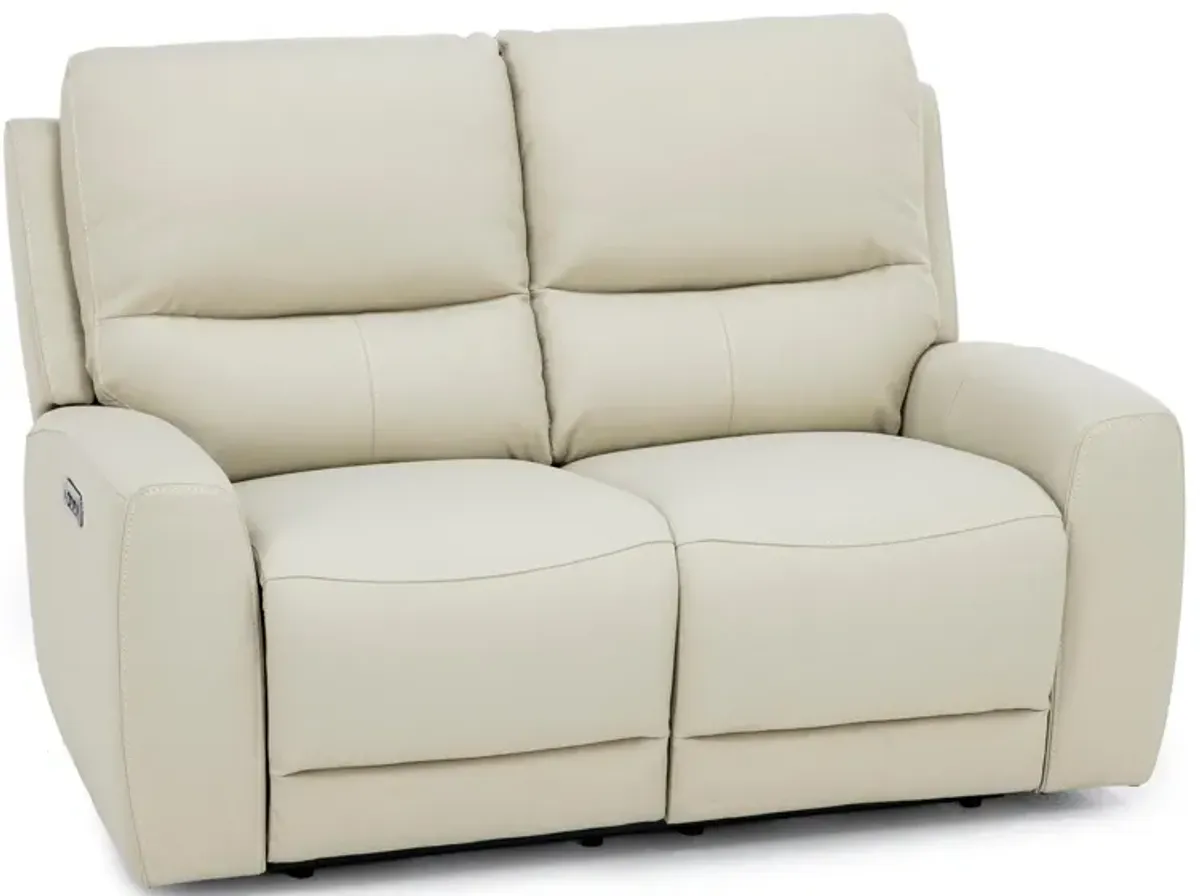 Fisher Leather Fully Loaded Reclining Loveseat