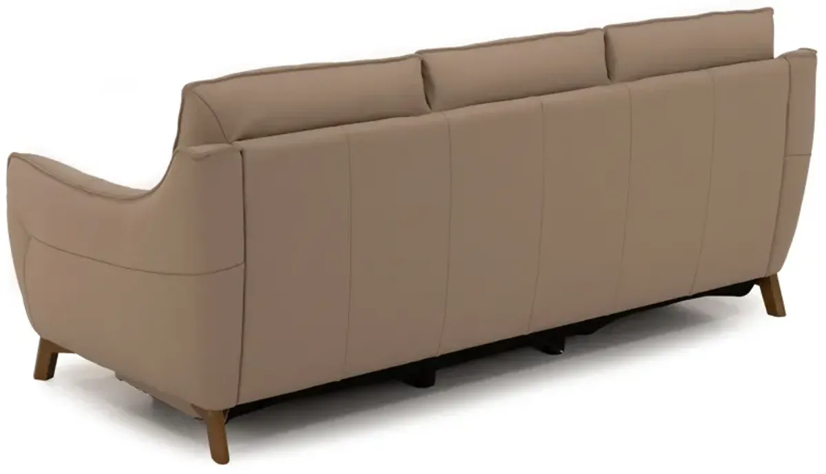 Palmetto Leather Power Reclining Sofa