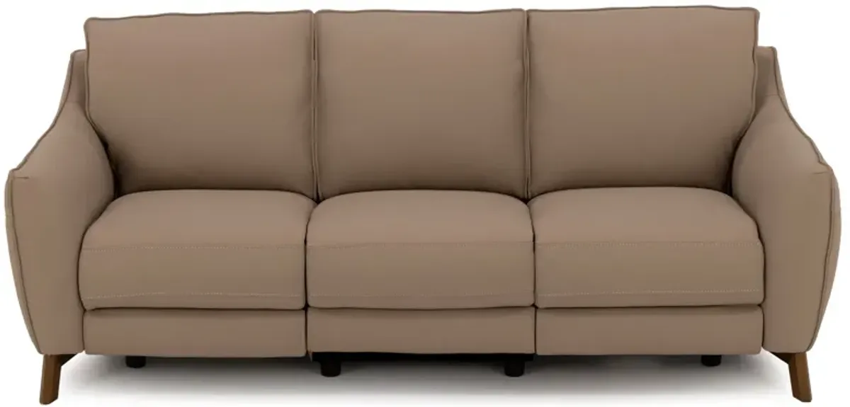 Palmetto Leather Power Reclining Sofa