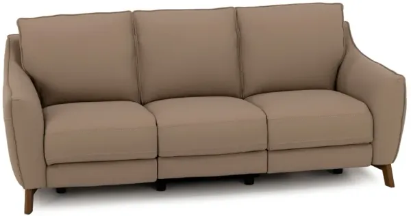 Palmetto Leather Power Reclining Sofa