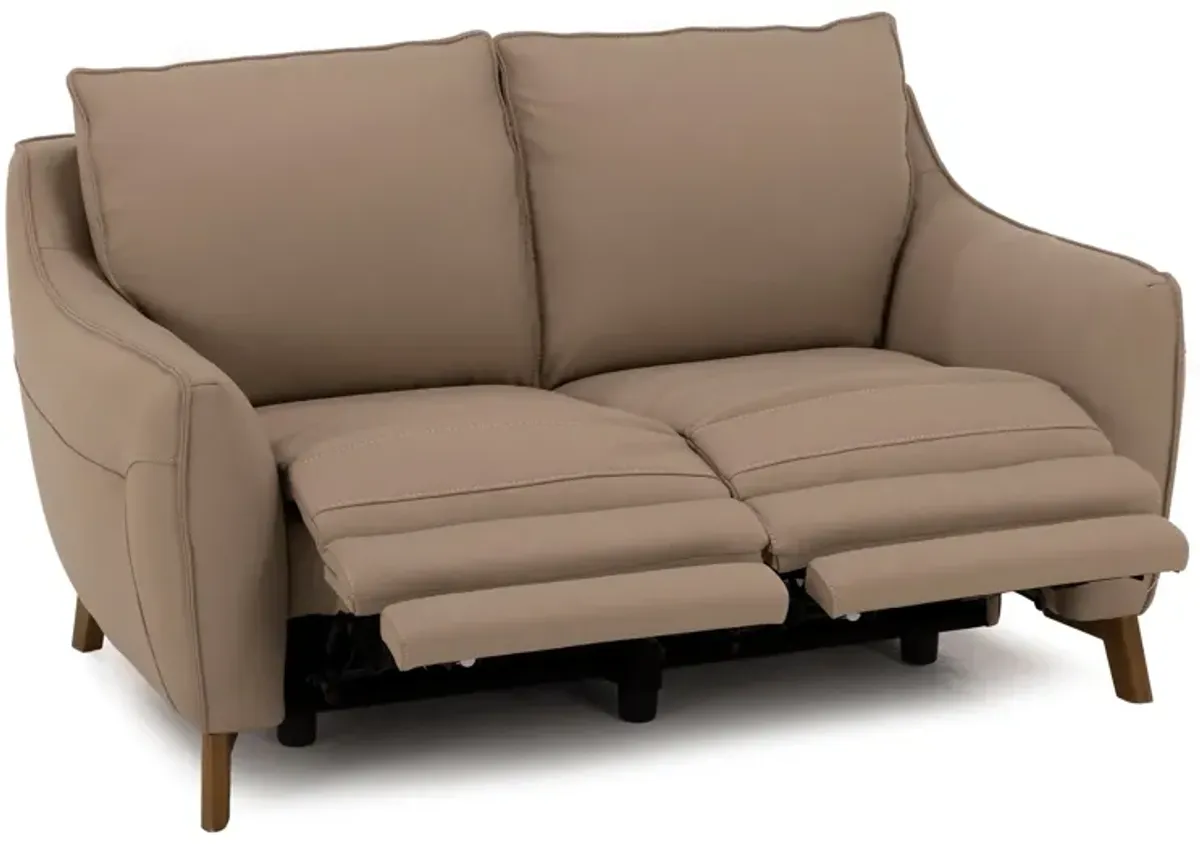 Palmetto Leather Power Reclining Loveseat