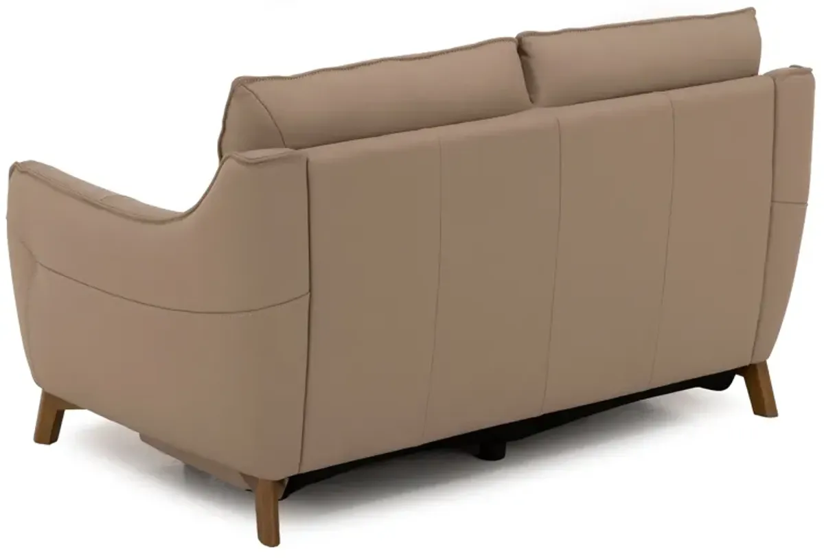 Palmetto Leather Power Reclining Loveseat