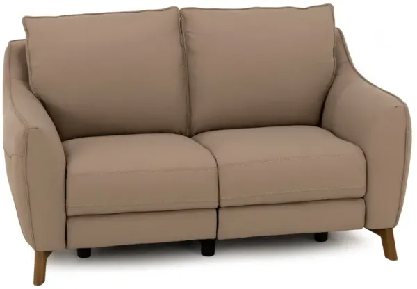 Palmetto Leather Power Reclining Loveseat