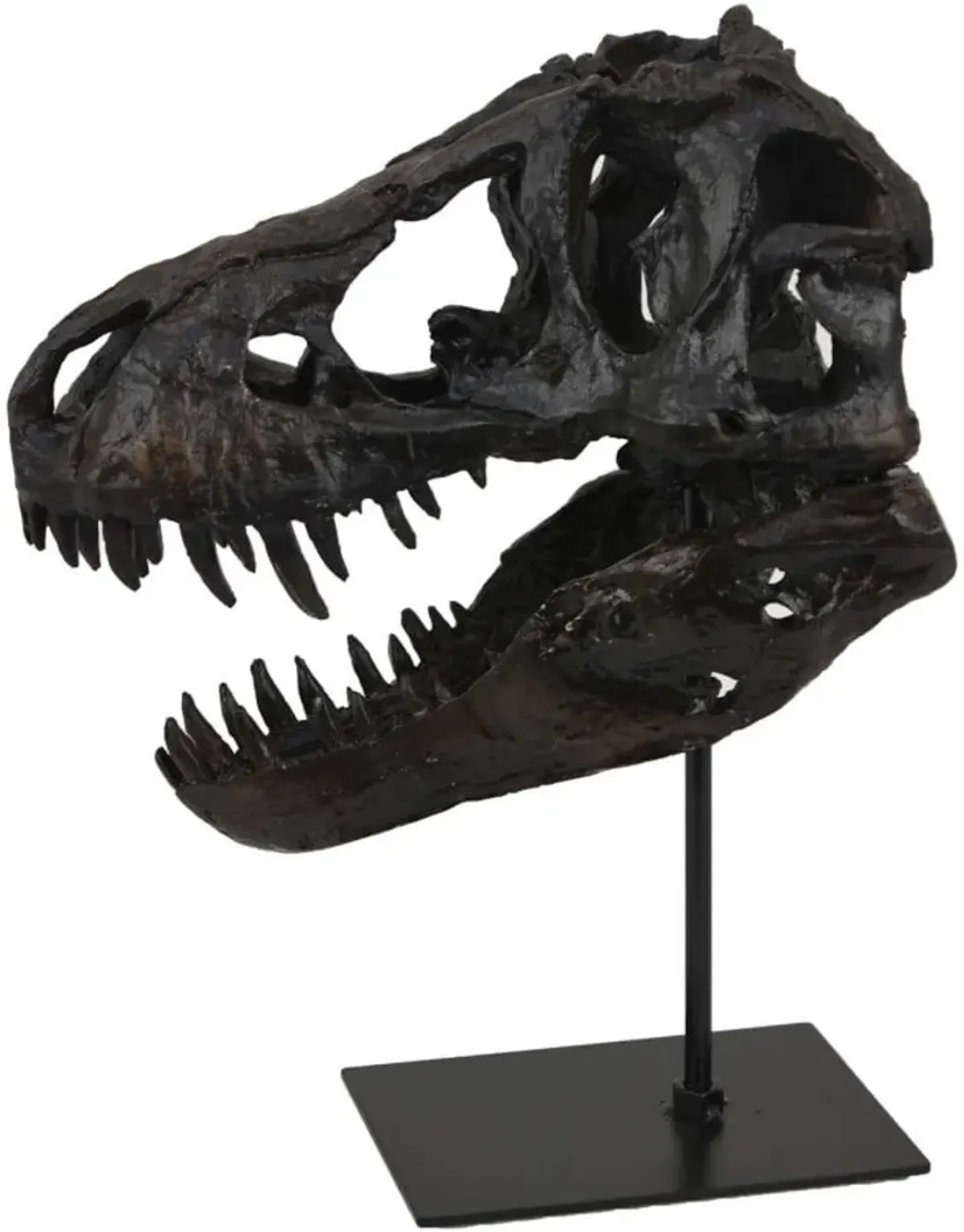 T-Rex Head Sculpture on Base 10"W x 12.5"H