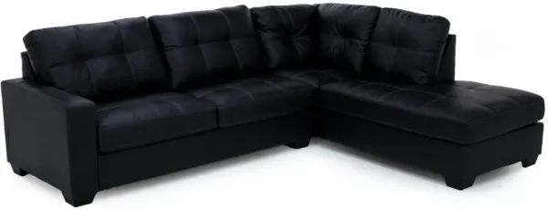 Berlin 2-Pc. Sectional In Carbon Right-Facing In Carbon