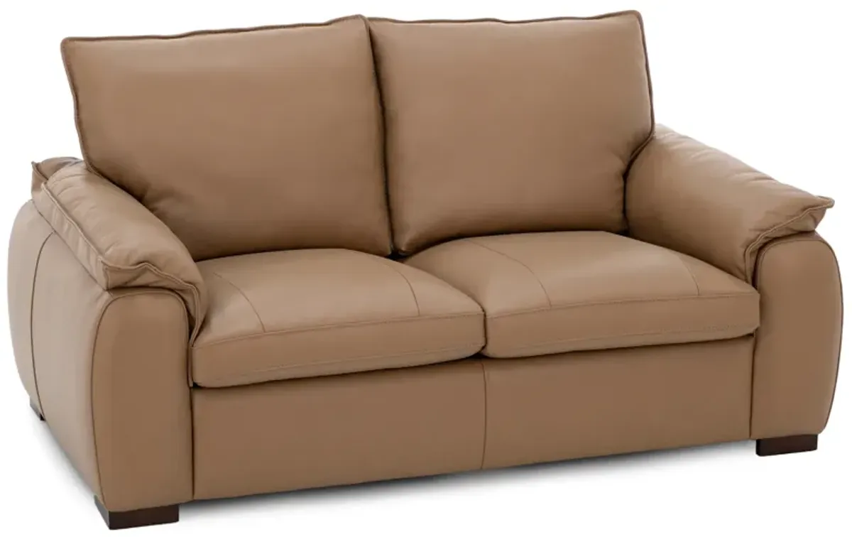 Luna Leather Loveseat