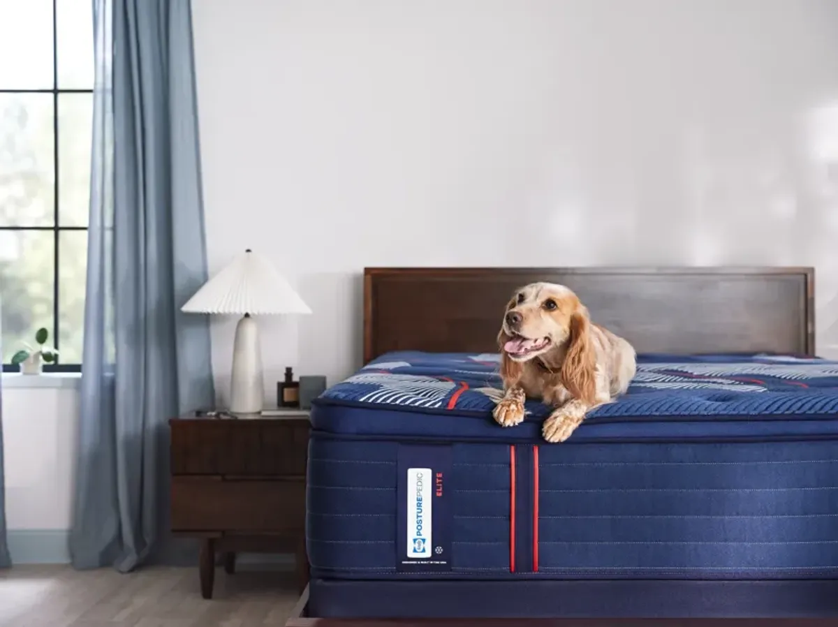 Sealy Posturepedic Elite Brenham Medium Pillow Top King Mattress