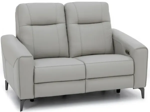 Parkside Heights Leather Power Headrest Reclining Loveseat in Gray