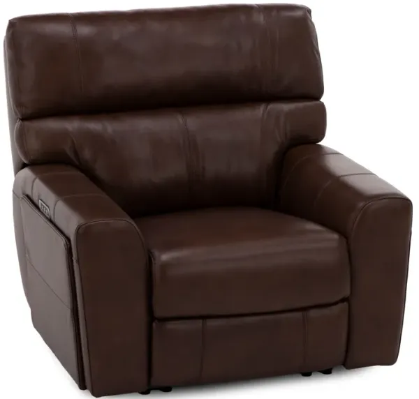Teller Leather Fully Loaded Zero Gravity Recliner in Wood