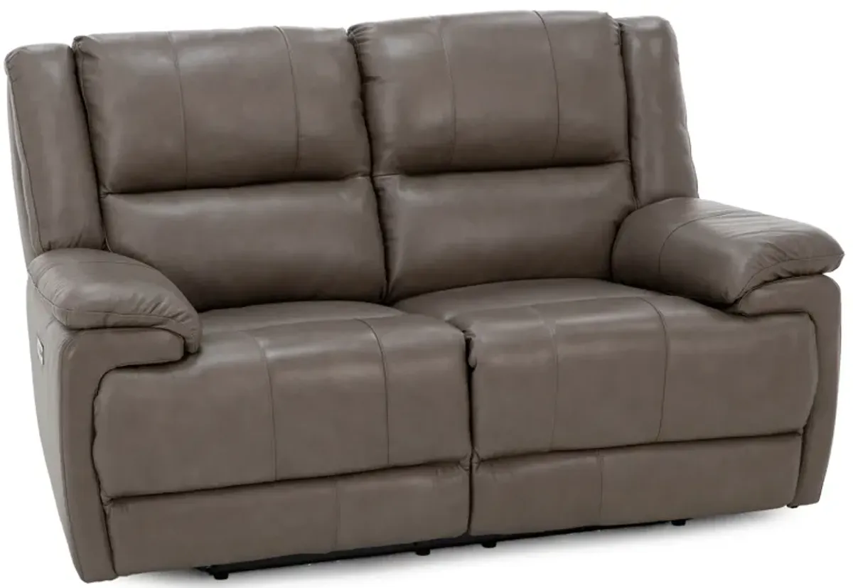 Anderson Leather Power Headrest Reclining Loveseat