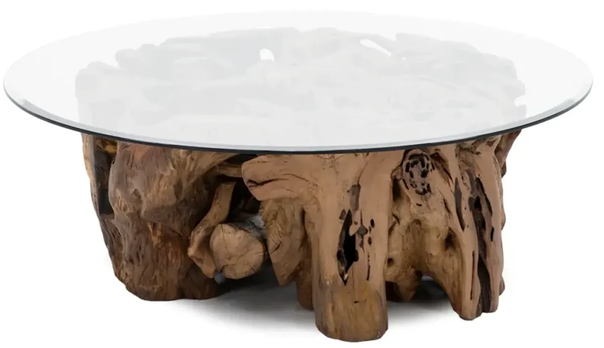 Root Ball Cocktail with Glass Top
