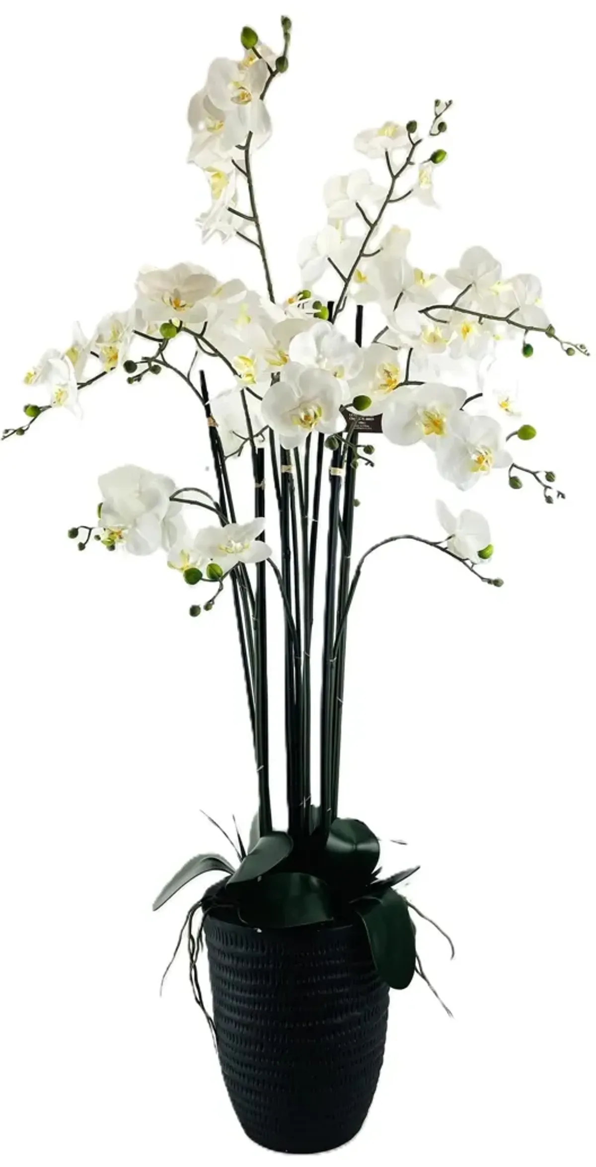 White and Yellow Orchid In Deco Planter 4'H