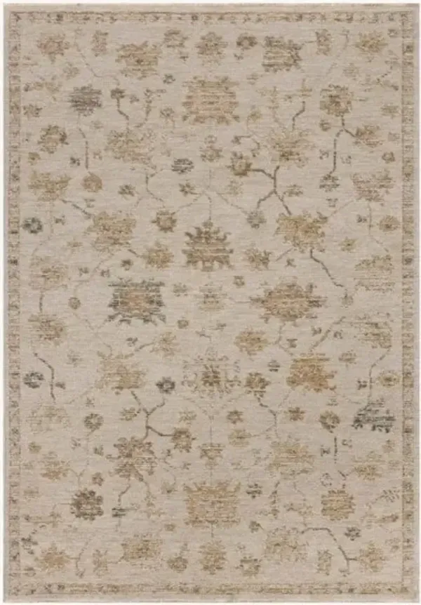 Willa Bone/Multi Area Rug 7'10"W x 10'L