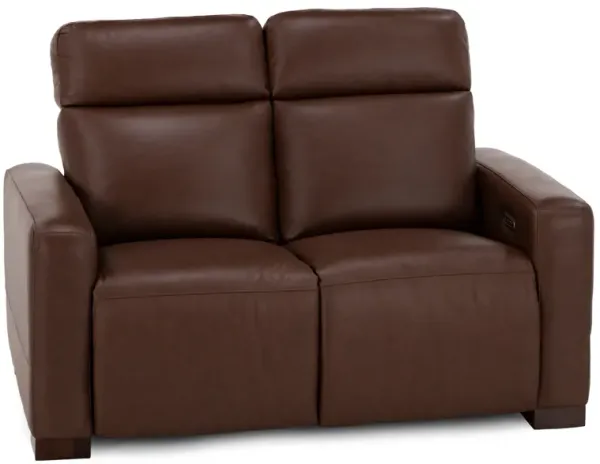 Acadia Leather Power Headrest Zero Gravity Reclining Loveseat in Chestnut