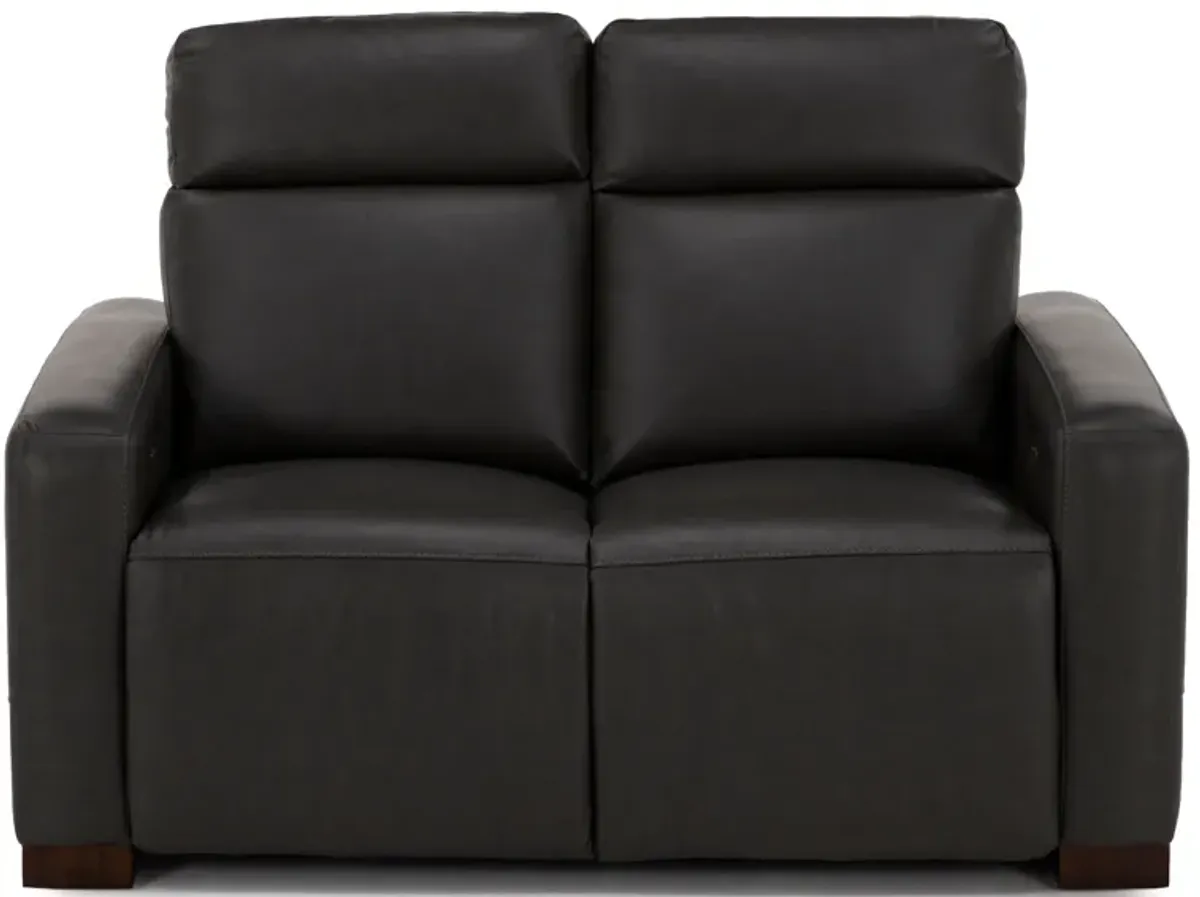 Acadia Leather Power Headrest Zero Gravity Reclining Loveseat in Shitake